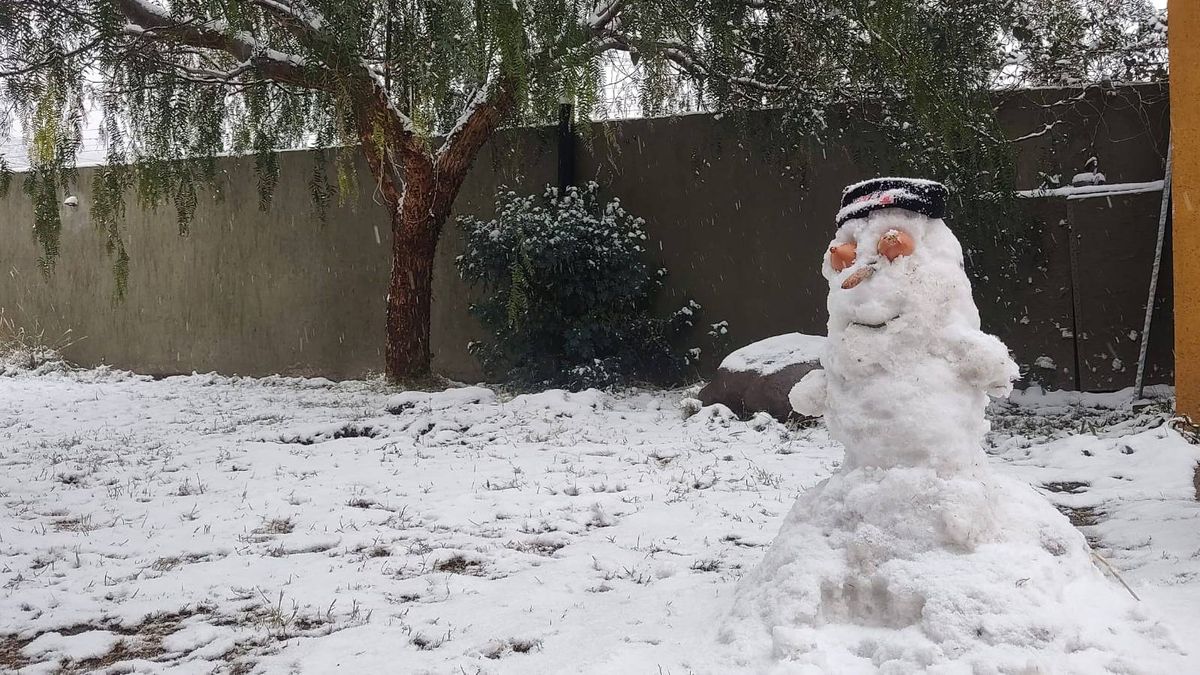 El muñeco de nieve que Ludovico levantó en el jardín de su casa, en el barrio La Yaya, El Challao. El muñeco de nieve que Ludovico levantó en el jardín de su casa, en el barrio La Yaya, El Challao.