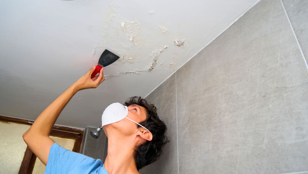 Cuanto antes elimines la humedad, menor será el daño. Cuanto antes elimines la humedad, menor será el daño. 