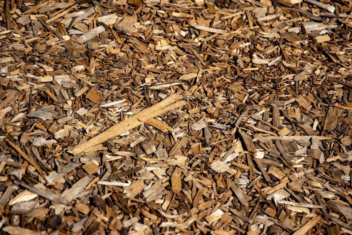 El mulching se hace con materiales como hojas secas, recortes de césped, restos de poda triturados, paja, corteza de árbol, entre otros materiales. Imagen: Pixabay. El mulching se hace con materiales como hojas secas, recortes de césped, restos de poda triturados, paja, corteza de árbol, entre otros materiales. Imagen: Pixabay.