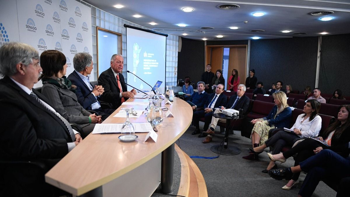 Daniel Funes de Rioja durante su visita al Senado de la Nación.