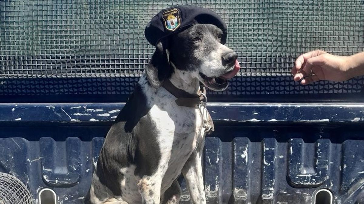 Homenajearon a Coni, una perra de la Policía de Mendoza que esclareció hechos complejos en el sur