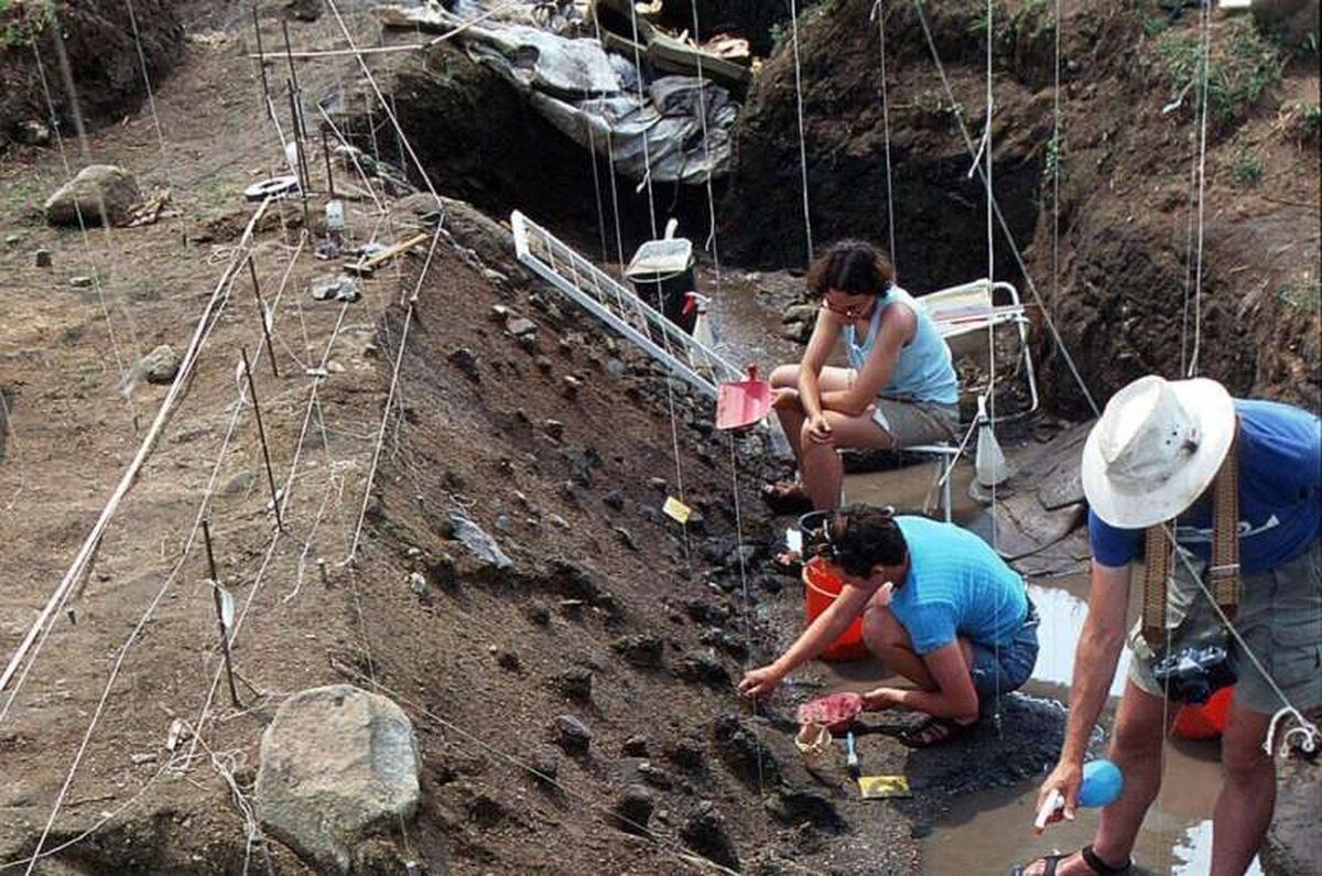 El estudio fue realizado por un grupo de científicos al norte de Israel. El estudio fue realizado por un grupo de científicos al norte de Israel.