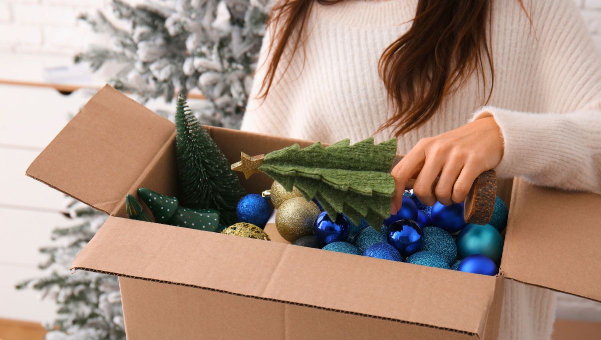 En Argentina llega diciembre y es la fecha más esperada para los amantes de la Navidad. Sin embargo, esto no ocurre con todos. En Argentina llega diciembre y es la fecha más esperada para los amantes de la Navidad. Sin embargo, esto no ocurre con todos.