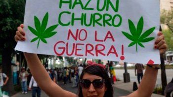 México va camino a la legalización de la  marihuana y avizoran un golpe en las ventas de los cárteles