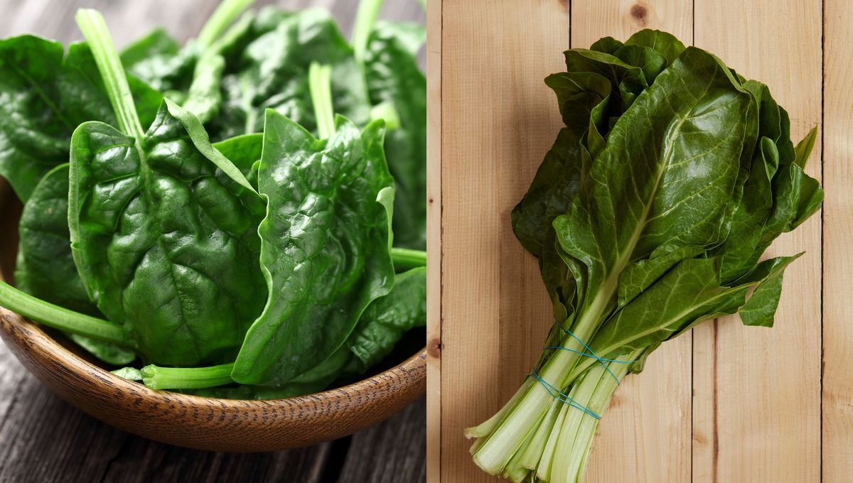 Ambos vegetales quedan muy bien en tartas, guisos, ensaladas y rellenos. Ambos vegetales quedan muy bien en tartas, guisos, ensaladas y rellenos.