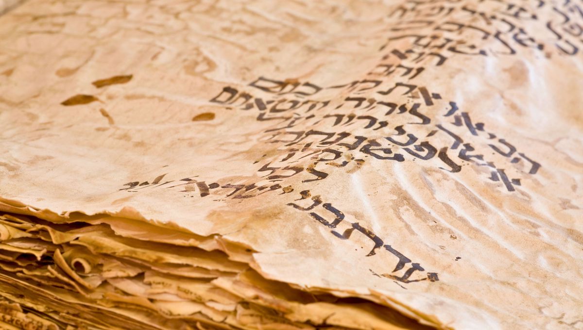 Un idioma repleto de palabras hermosas y curiosas Un idioma repleto de palabras hermosas y curiosas