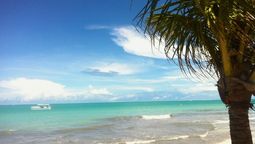 Esta playa queda al norte de Brasil, en el estado de Alagoas. Imagen: Freepik. Esta playa queda al norte de Brasil, en el estado de Alagoas. Imagen: Freepik.