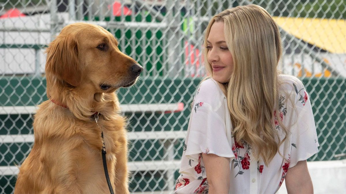 La película de Netflix es especial para ver en familia. La película de Netflix es especial para ver en familia.