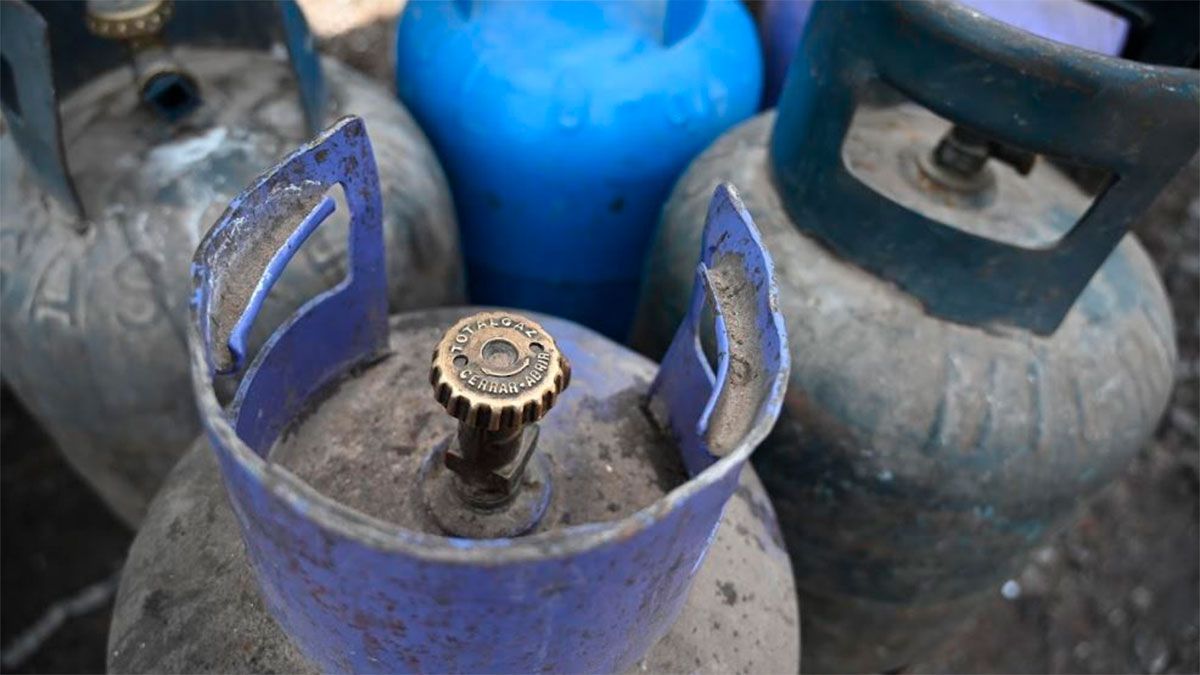 El programa El programa