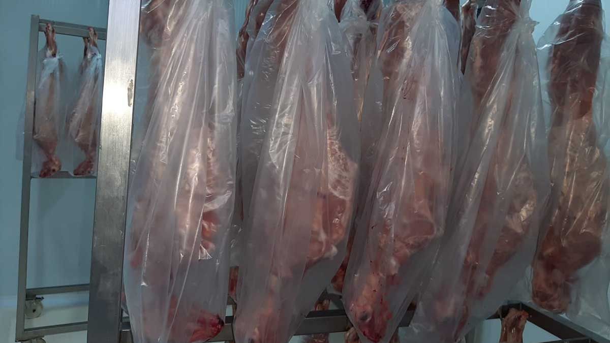 Ahora chivitos, de los productores al consumidor mendocino