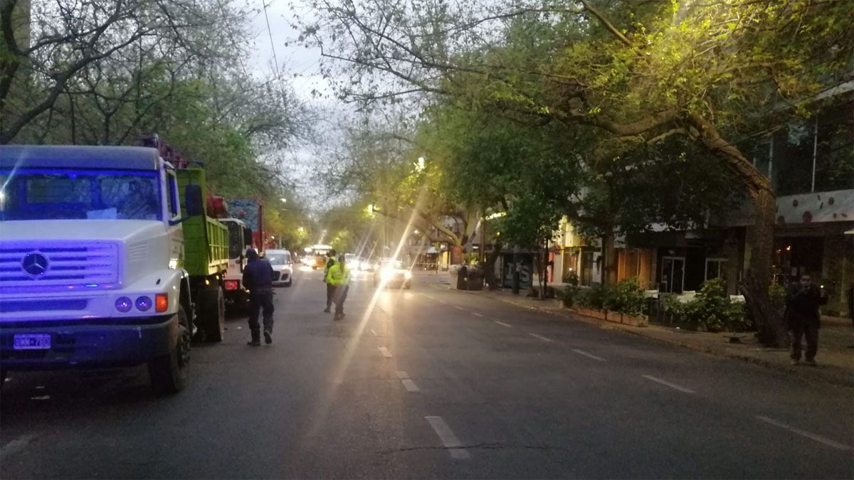 Municipales de Capital realizaron cortes de ramas y árboles que quedaron quemados por el indendio en calle Colón. Foto: Matías Pascualetti/ Radio Nihuil.