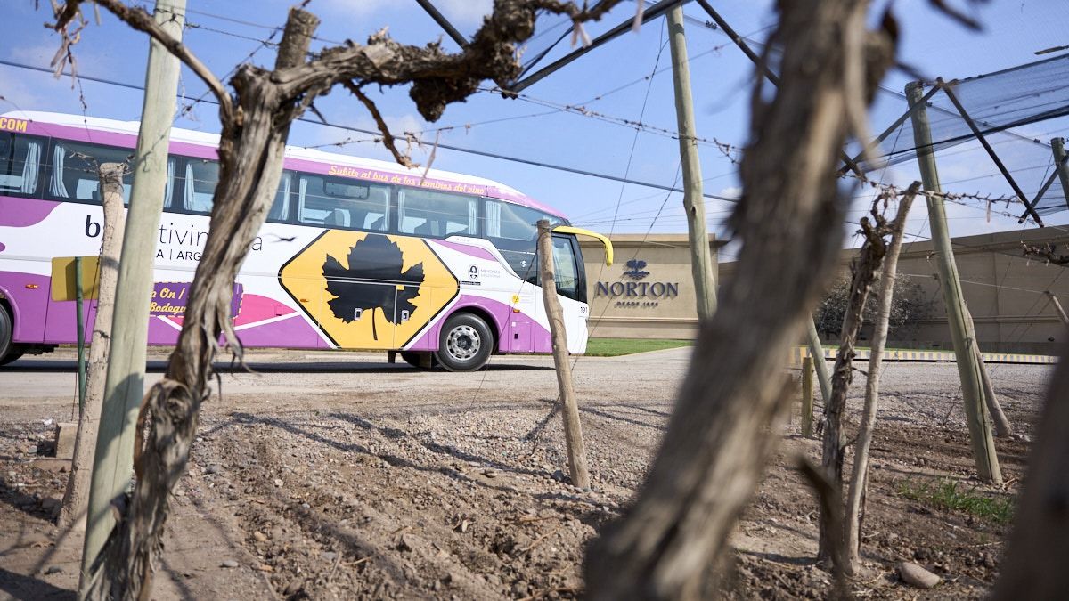 El Bus Vitivinícola fue pionero en conectar a los visitantes con las bodegas de Mendoza desde la Capital de la provincia. El Bus Vitivinícola fue pionero en conectar a los visitantes con las bodegas de Mendoza desde la Capital de la provincia.