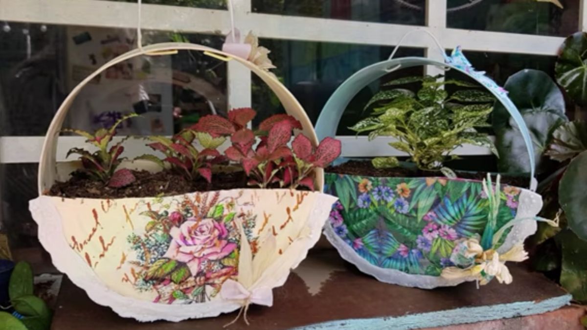 Convierte las lats de dulce en elegantes macetas. Convierte las lats de dulce en elegantes macetas.