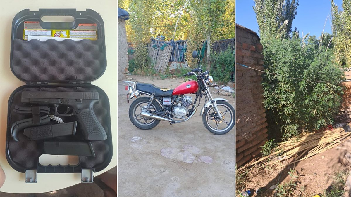 Parte de lo secuestrado en los allanamientos en Las Heras fueron armas de fuego, una moto con pedido de secuestro y plantas de marihuana. Parte de lo secuestrado en los allanamientos en Las Heras fueron armas de fuego, una moto con pedido de secuestro y plantas de marihuana.