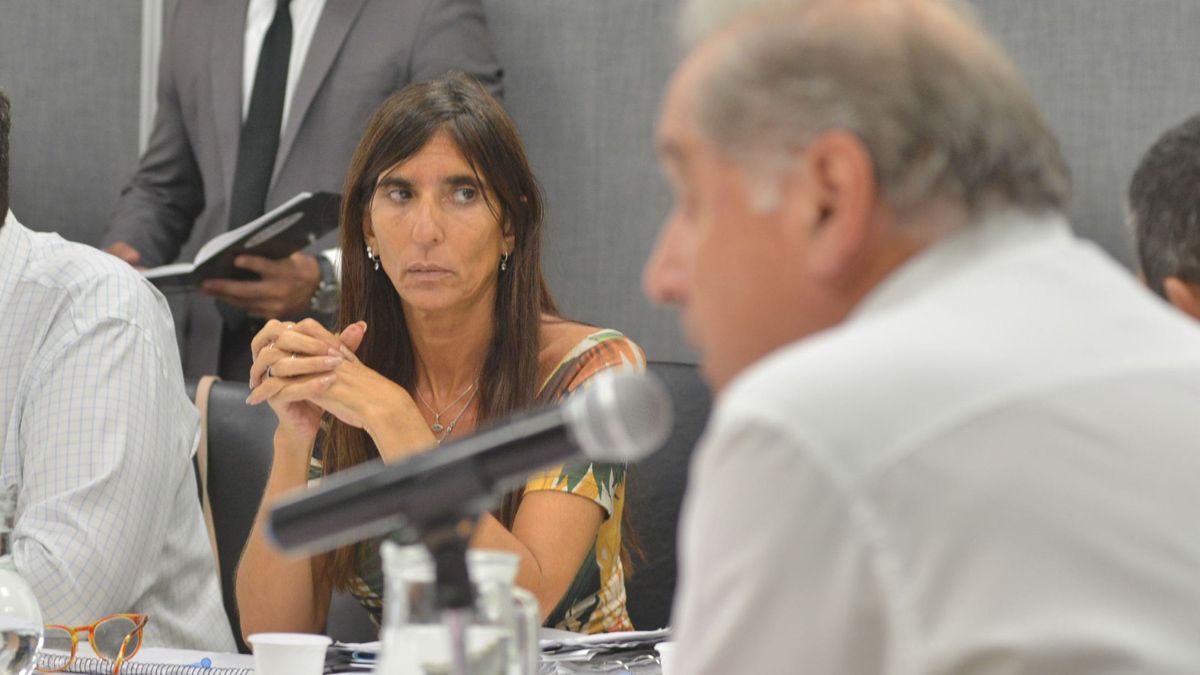 Expone Abel Freidemberg, presidente de la Comisión de Salud. Escucha atenta Natacha Eisenchlas.