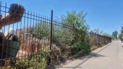 La chacarita de Maipú donde encontraron los huesos de una persona fue rastrillada hasta encontrar el cuerpo completo.&nbsp;