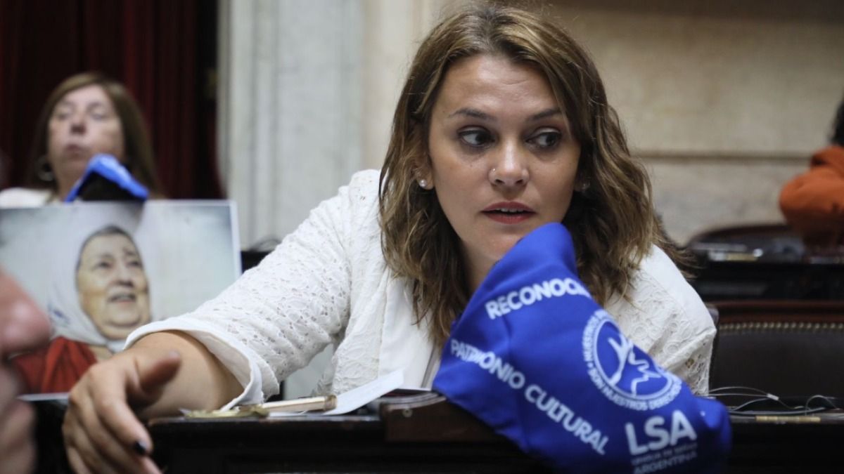 La diputada peronista Liliana Paponet remarcó que les sorprende que el oficialismo aún no defina las comisiones y autoridades en las que se debatirá la ley ómnibus.