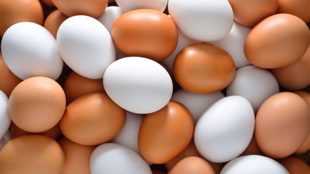 Un huevo marrón y un huevo blanco, poseen los mismos beneficios nutricionales, más allá de la pigmentación que presentan.