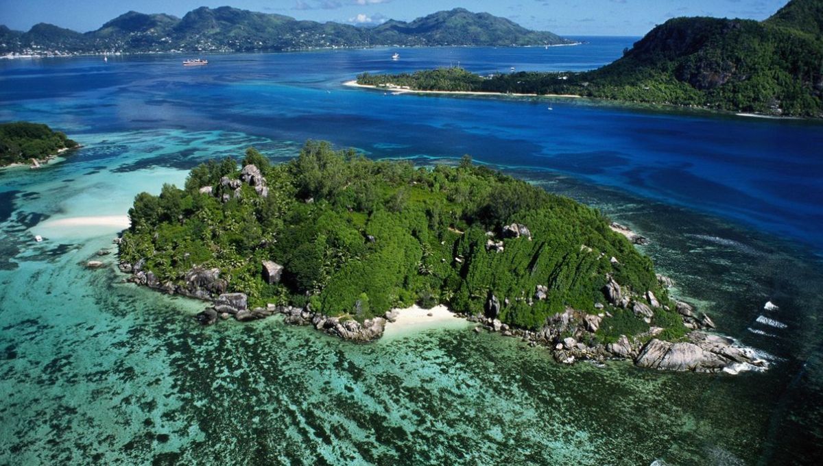 Compró una isla desierta, plantó 16.000 árboles y la convirtió en un santuario único que conquistó al mundo