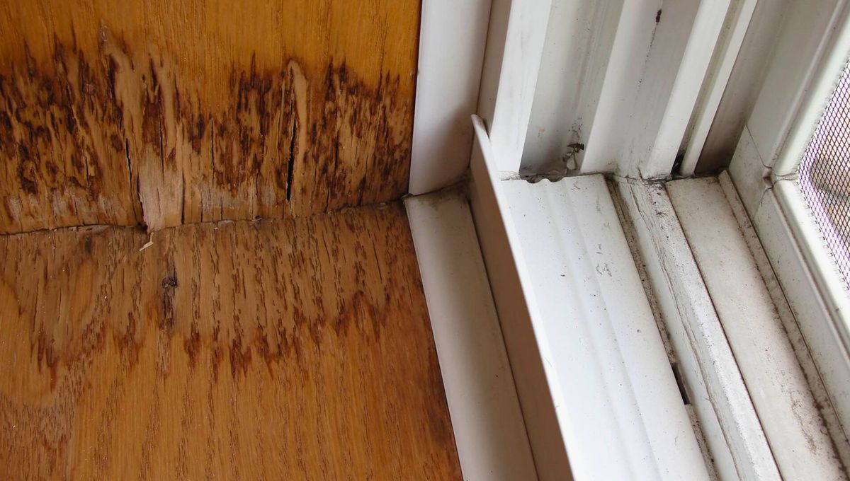 La humedad puede generar daño permanente en las puertas de la casa. La humedad puede generar daño permanente en las puertas de la casa. 