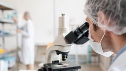 El hallazgo podría cambiar el futuro de la salud de millones de personas con enfermedades inflamatorias crónicas. Crédito: Freepik.