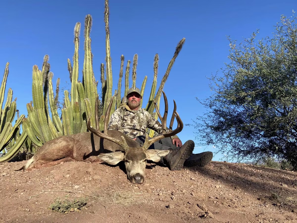 Cazador cazado. Un cazador millonario fue embestido por un búfalo de 1300 kilos y lo mató. El empresario estaba de safari en Sudáfrica. Cazador cazado. Un cazador millonario fue embestido por un búfalo de 1300 kilos y lo mató. El empresario estaba de safari en Sudáfrica.