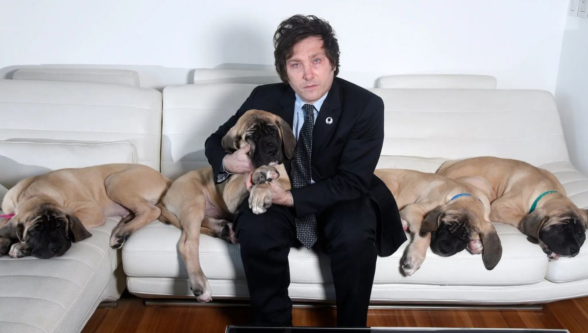 Javier Milei junto a sus amados perros. Javier Milei junto a sus amados perros.