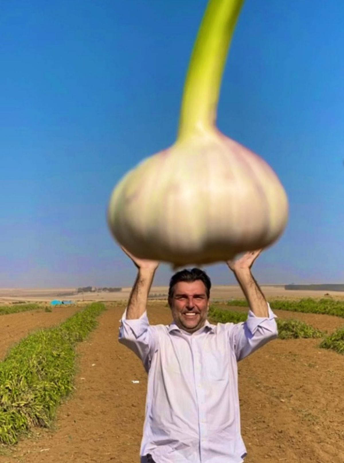 El referente dice que el ajo brasileño y el argentino son superiores en tamaño y calidad respecto a la producción de China; aunque quizá no tanto como se ve en esta imagen...