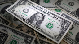 En el último tiempo, la colección de billetes y monedas antiguas ha tomado gran relevancia en la sociedad