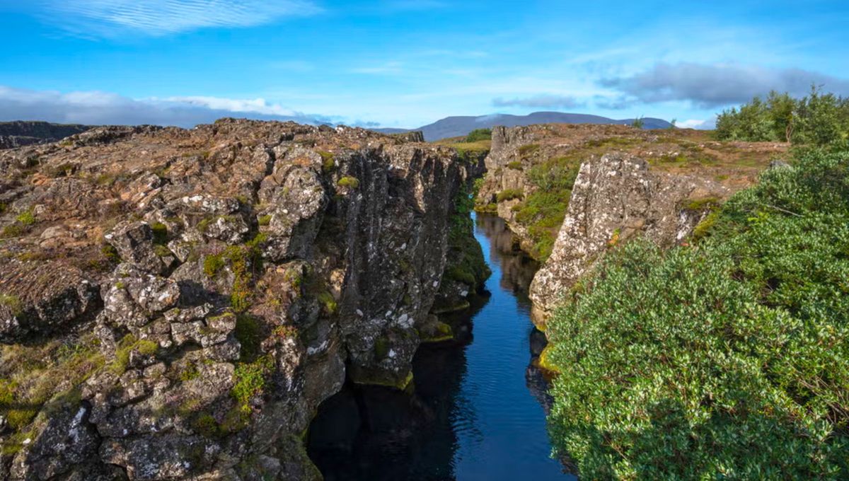 Gracias a su magnitud y relevancia geológica, la Dorsal Mesoatlántica es considerada una pieza clave para entender cómo funciona nuestro planeta. Gracias a su magnitud y relevancia geológica, la Dorsal Mesoatlántica es considerada una pieza clave para entender cómo funciona nuestro planeta. 