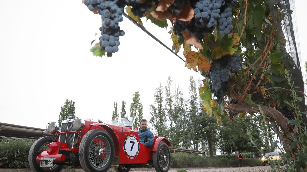La tradicional competencia de autos clásicos y sport recorrerá 700 kilómetros por las rutas del vino de Mendoza.