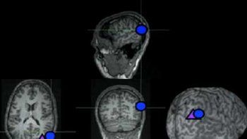 Descubrieron cómo manipular la percepción moral de una persona