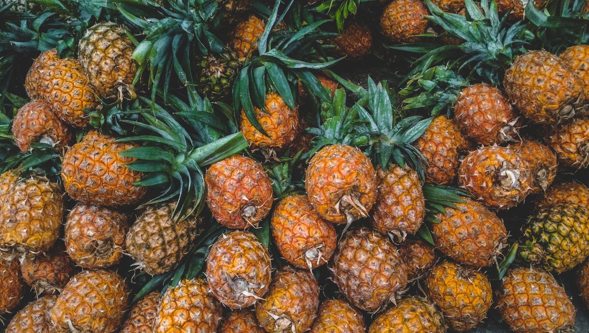 La cáscara del ananá puede ser usado para crear jugo. La cáscara del ananá puede ser usado para crear jugo. 