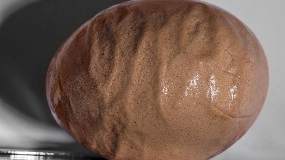 El huevo arrugado puede consumirse al igual que otro huevo.