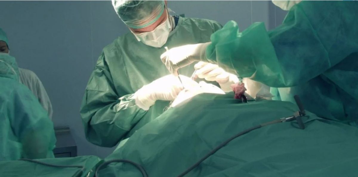 Mala praxis. Le hicieron una vasectomía en lugar de operarlo de la vesícula.