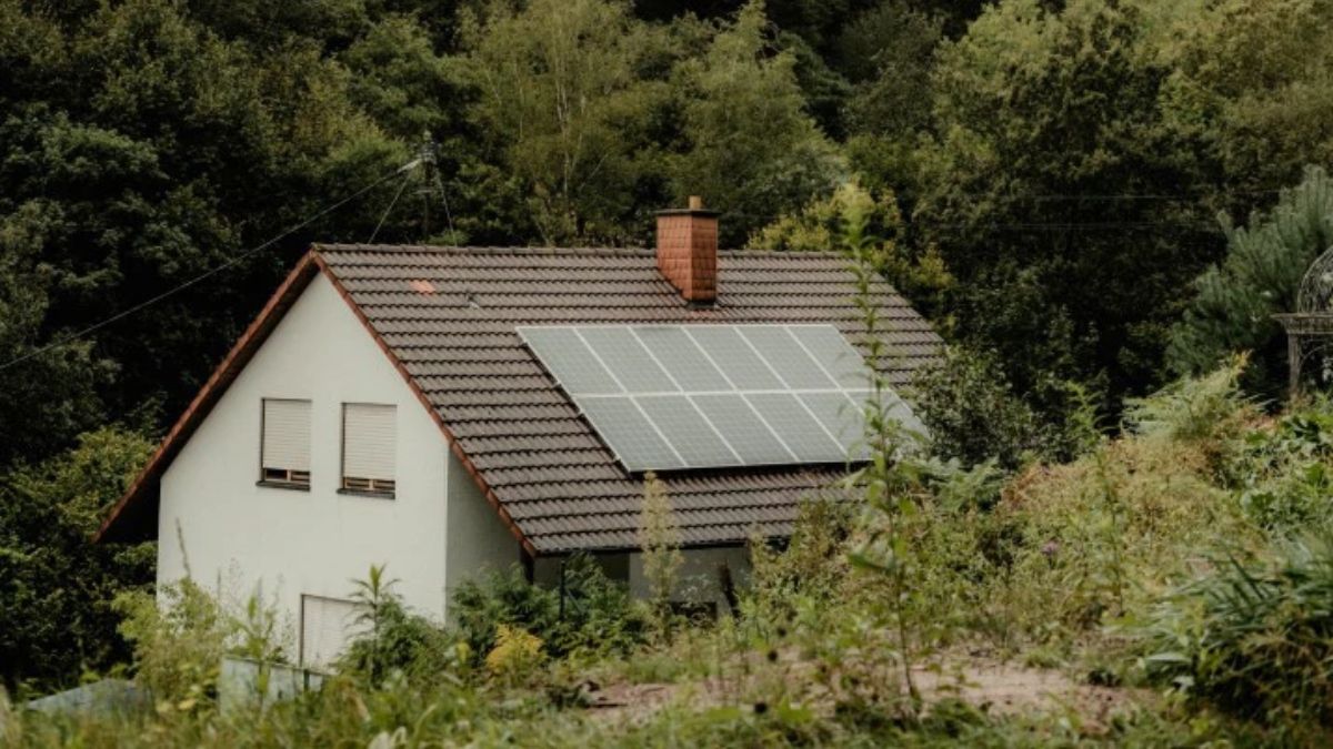 "En el mundo, el año pasado, las renovables recibieron el doble de inversión que lo tuvo la industria fósil. Sin embargo, en América Latina esto no fue igual", Carlos Salgado, doctor en Ciencias Sociales e investigador del CONICET-FLACSO especializado en transición energética. Foto: Carolin Wenske / Pexels "En el mundo, el año pasado, las renovables recibieron el doble de inversión que lo tuvo la industria fósil. Sin embargo, en América Latina esto no fue igual", Carlos Salgado, doctor en Ciencias Sociales e investigador del CONICET-FLACSO especializado en transición energética. Foto: Carolin Wenske / Pexels