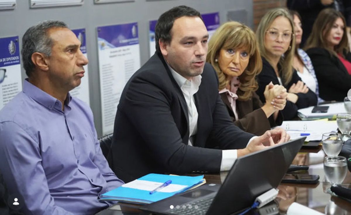 El ministro Rodolfo Montero se reunió con comisiones de la Cámara de Diputados por el futuro del Hogar Santa Marta de ancianos, entre otros temas.&nbsp;