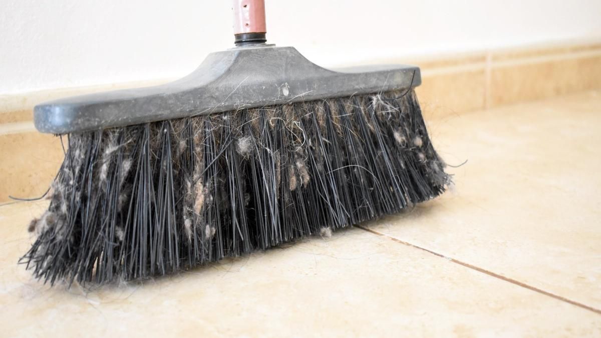 Limpiar escoba. Limpiar escoba. 