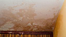 Qué pasa si la humedad del vecino se pasa a la pared de mi casa y qué debo hacer Qué pasa si la humedad del vecino se pasa a la pared de mi casa y qué debo hacer