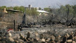 Incendios en Mendoza: aún no se han evaluado las pérdidas de fauna autóctona
