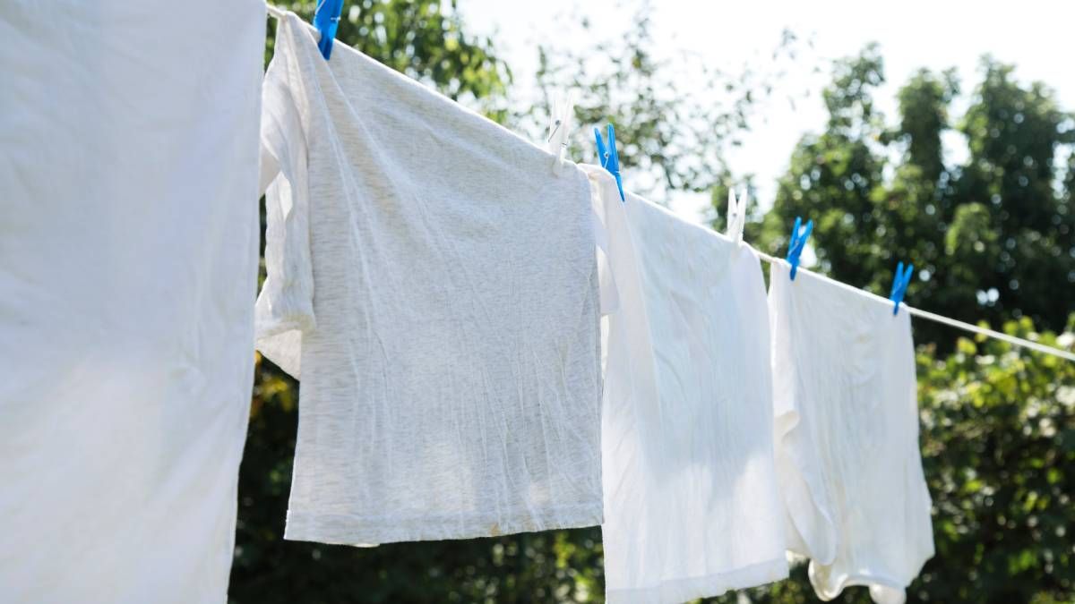 Este sencillo truco casero te ayudará a quitar las manchas de óxido de tu ropa sin necesidad de estropearla. Este sencillo truco casero te ayudará a quitar las manchas de óxido de tu ropa sin necesidad de estropearla.