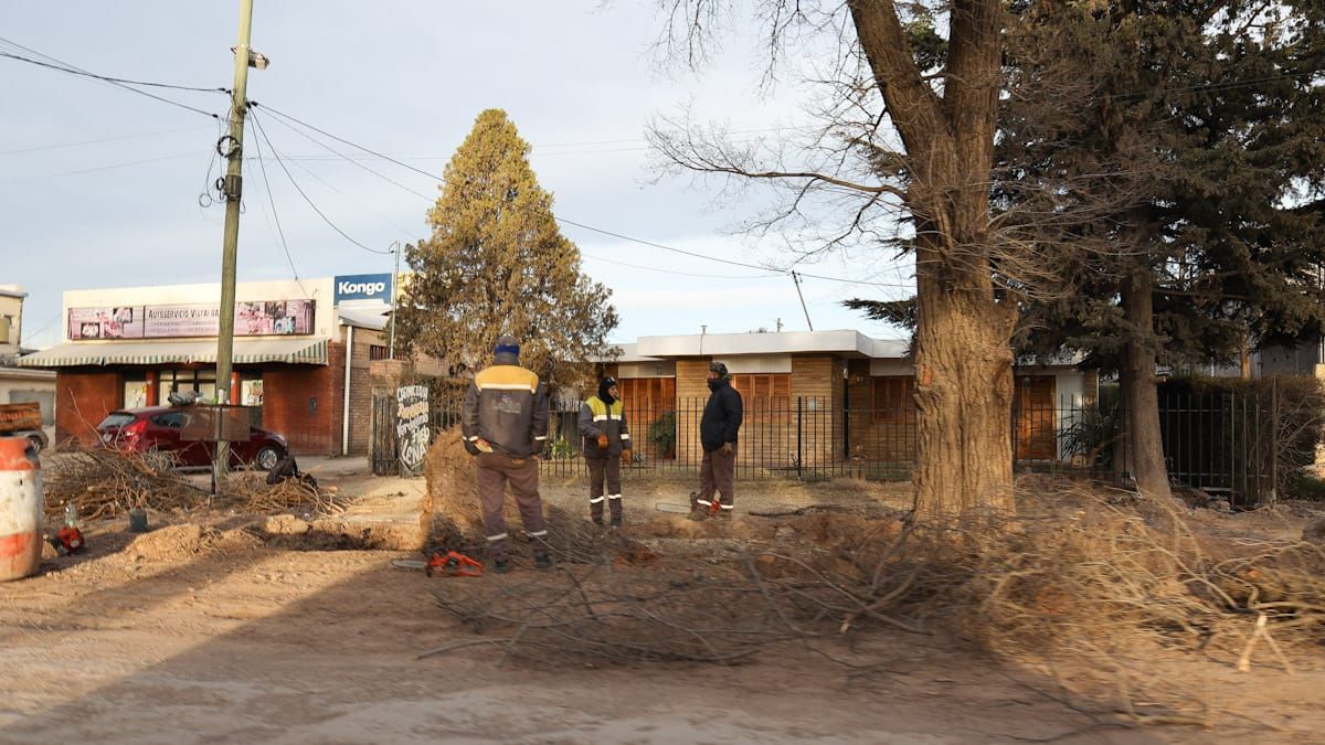El jefe de gabinete del municipio y candidato a intendente por LUM, Esteban Alasino, aseguró que no tienen intención de seguir talando árboles en esta calle, excepto los que sufrieron grandes daños después del zonda.