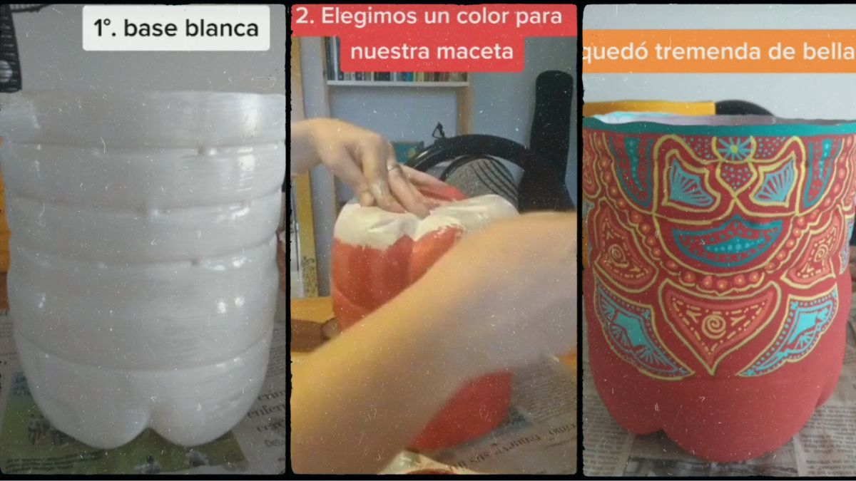 Maceta reciclada, creada con un bidón de agua. Maceta reciclada, creada con un bidón de agua.