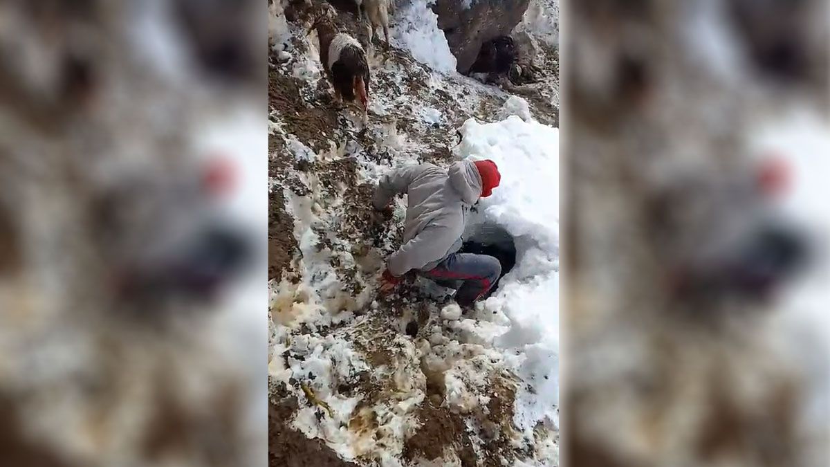 Los puesteros de Malargüe continúan en emergencia luego de la nevada que los dejó aislados.