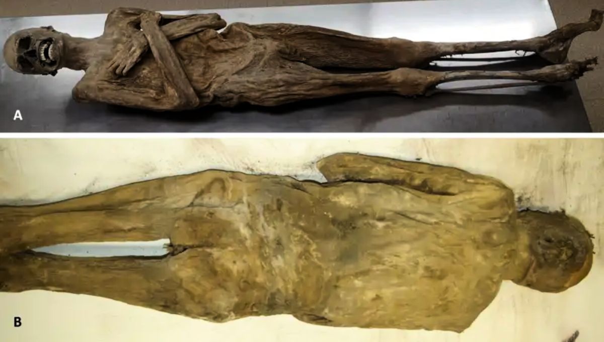 La momia en cuestión es un sacerdote fallecido en el año 1746