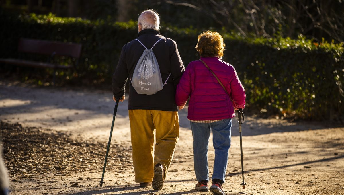 La caminata habitual es un ejercicio ideal para los adultos mayores.&nbsp;