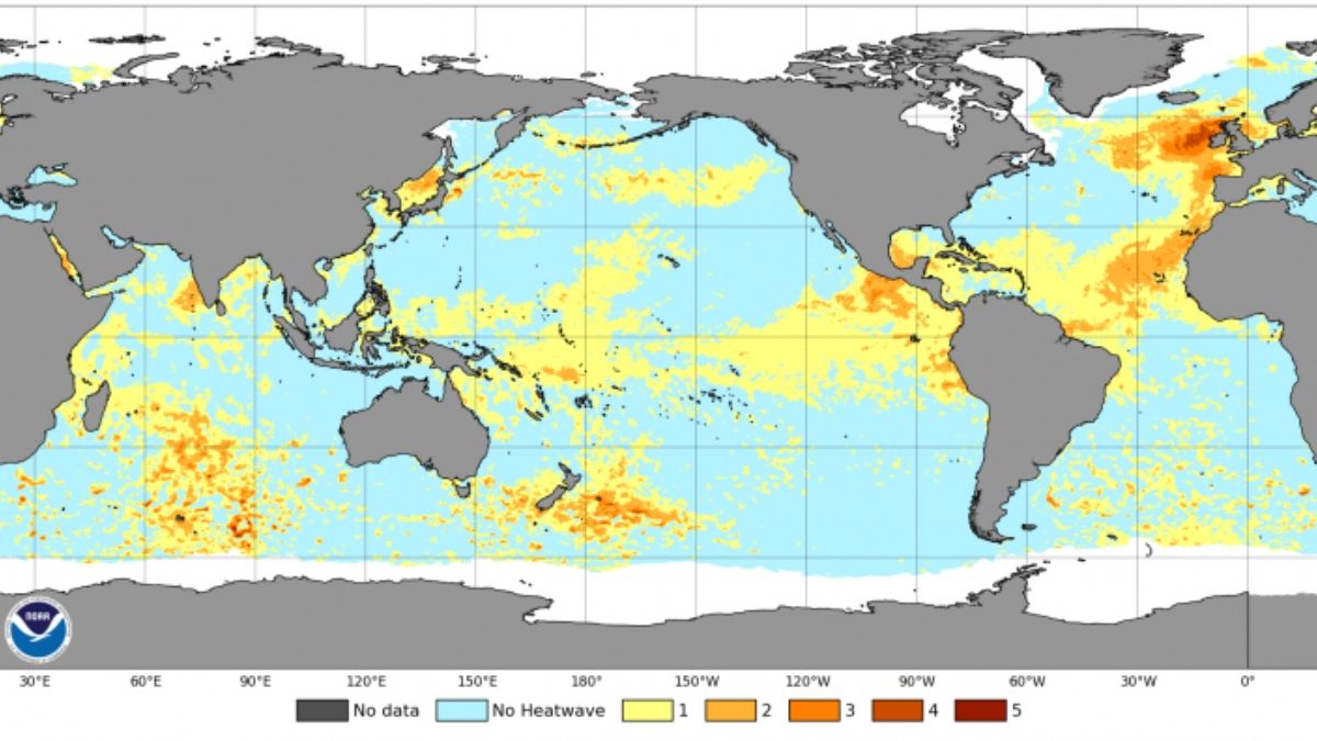 Anomalías de la temperatura superficial del mar registradas el 19 de junio de 2023. El grupo de colores rojo y naranja en la parte superior derecha muestra la ola de calor marina que batió récords en el Atlántico nororiental a finales de junio (Imagen: NOAA Marine Heatwave Watch) Anomalías de la temperatura superficial del mar registradas el 19 de junio de 2023. El grupo de colores rojo y naranja en la parte superior derecha muestra la ola de calor marina que batió récords en el Atlántico nororiental a finales de junio (Imagen: NOAA Marine Heatwave Watch)