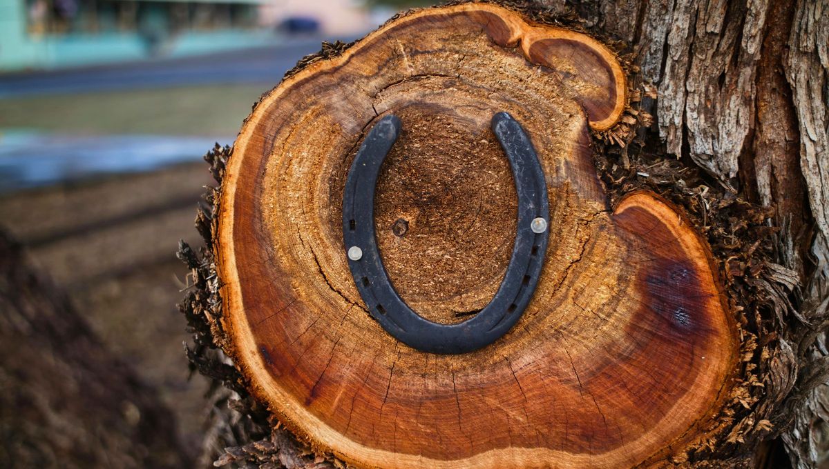 El marrón, a partir de esta asociación con la tierra y la naturaleza, evoca interpretaciones psicológicas como estabilidad y calidez. El marrón, a partir de esta asociación con la tierra y la naturaleza, evoca interpretaciones psicológicas como estabilidad y calidez.