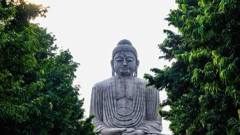 Filosofía china: el proverbio de Confucio que compara el éxito con un árbol y deja una lección inolvidable Filosofía china: el proverbio de Confucio que compara el éxito con un árbol y deja una lección inolvidable