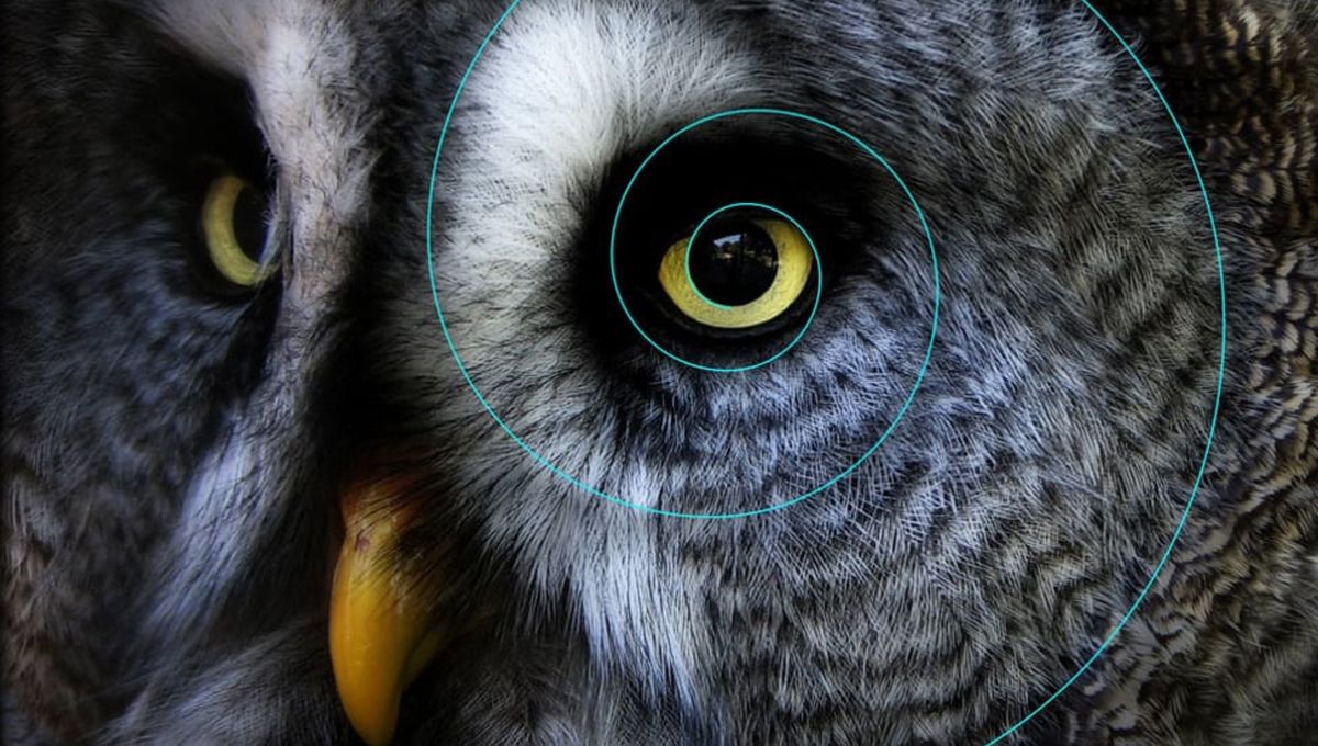 La biomimética es la ciencia que se basa en la naturaleza para resolver los problemas de la humanidad.